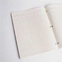 Blank Ledger Page