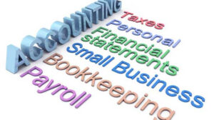 Taxes, Personal Finance, Small Business Bookkeeping, Payroll Services